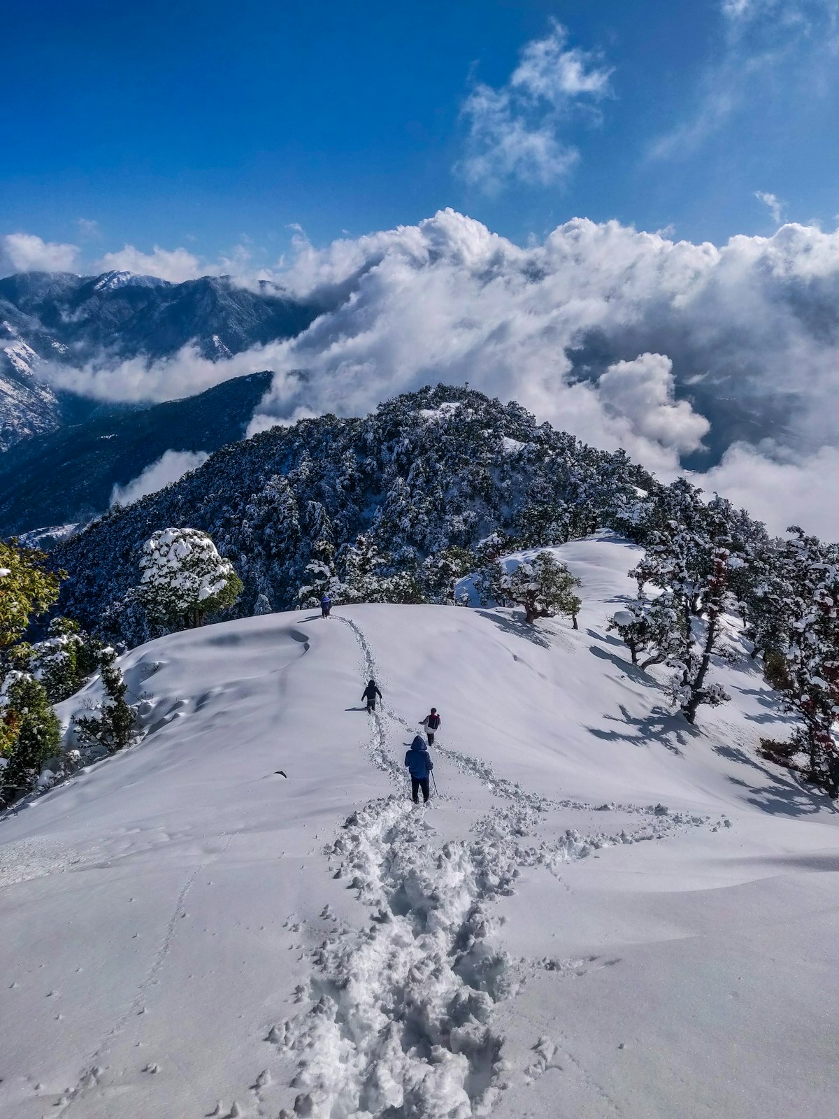 Himachal Pradesh – Shimla Luxury Escape (2N/3D)